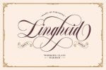 Bordemile - Luxury Script Font
