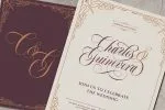 Bordemile - Luxury Script Font