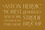 Borest - Elegant Roman Sans Serif