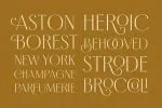 Borest - Elegant Roman Sans Serif