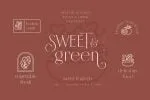 Borest - Elegant Roman Sans Serif