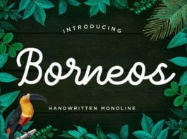Borneos Font
