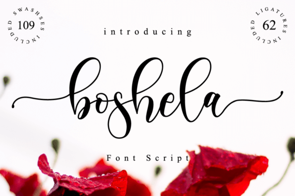Boshela Script