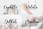 Boshela Script