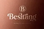 Boston Angel - Modern and Elegant Serif font