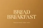 Boston Angel - Modern and Elegant Serif font