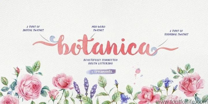 Botanica Font