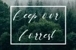 Botanikal Font
