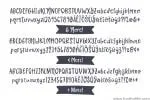 Bottega Font