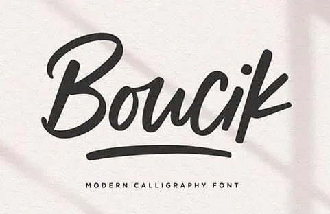 Boucik Script Font YH