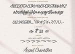 Boucik Script Font YH