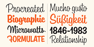 Boutiera Font