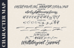 Boutique Signature Script LS Font