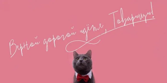 Bow Tie Font