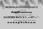 Brader Display Font