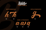 Brady Font