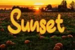 Brain Pumpkin Font