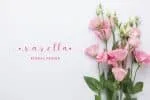 Brainlysign Font