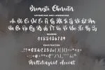 Bramesta - Modern Bold Script