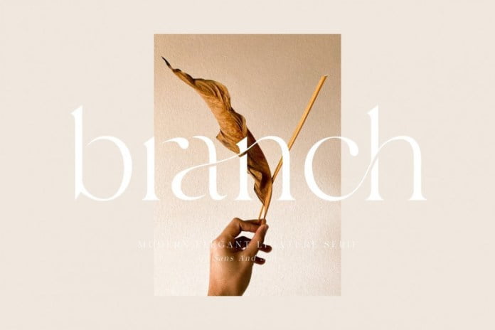Branch Font