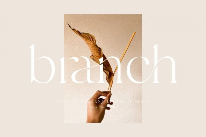 Branch Elegant Ligature Font