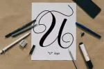 Branch Monogram Font