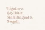 Brand Display Font