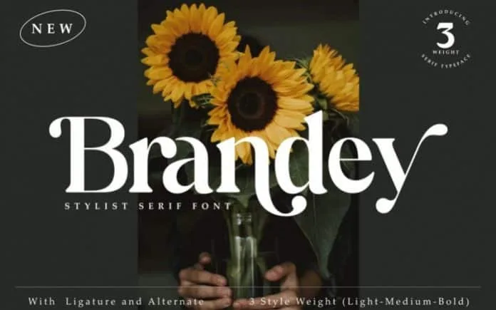 Brandey Stylist Serif Font