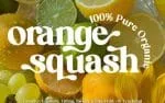 Brandey Stylist Serif Font