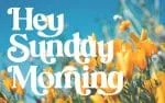 Brandey Stylist Serif Font