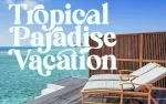 Brandey Stylist Serif Font