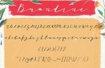 Brandine Script Font