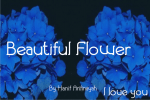 Brandlaw Bold Font