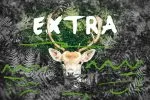 Brasku Font + Extras