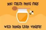 Bread and Honey Font