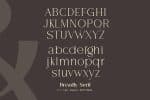 Breadley Serif - Modern Serif Font