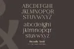 Breadley Serif - Modern Serif Font