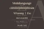 Breadley Serif - Modern Serif Font