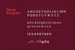 Break Incognito Serif Font
