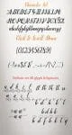 Breathers Script Font