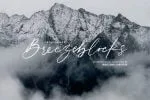 Breezeblocks Modern Casual Signature