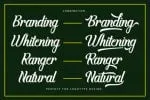 Brenday Font
