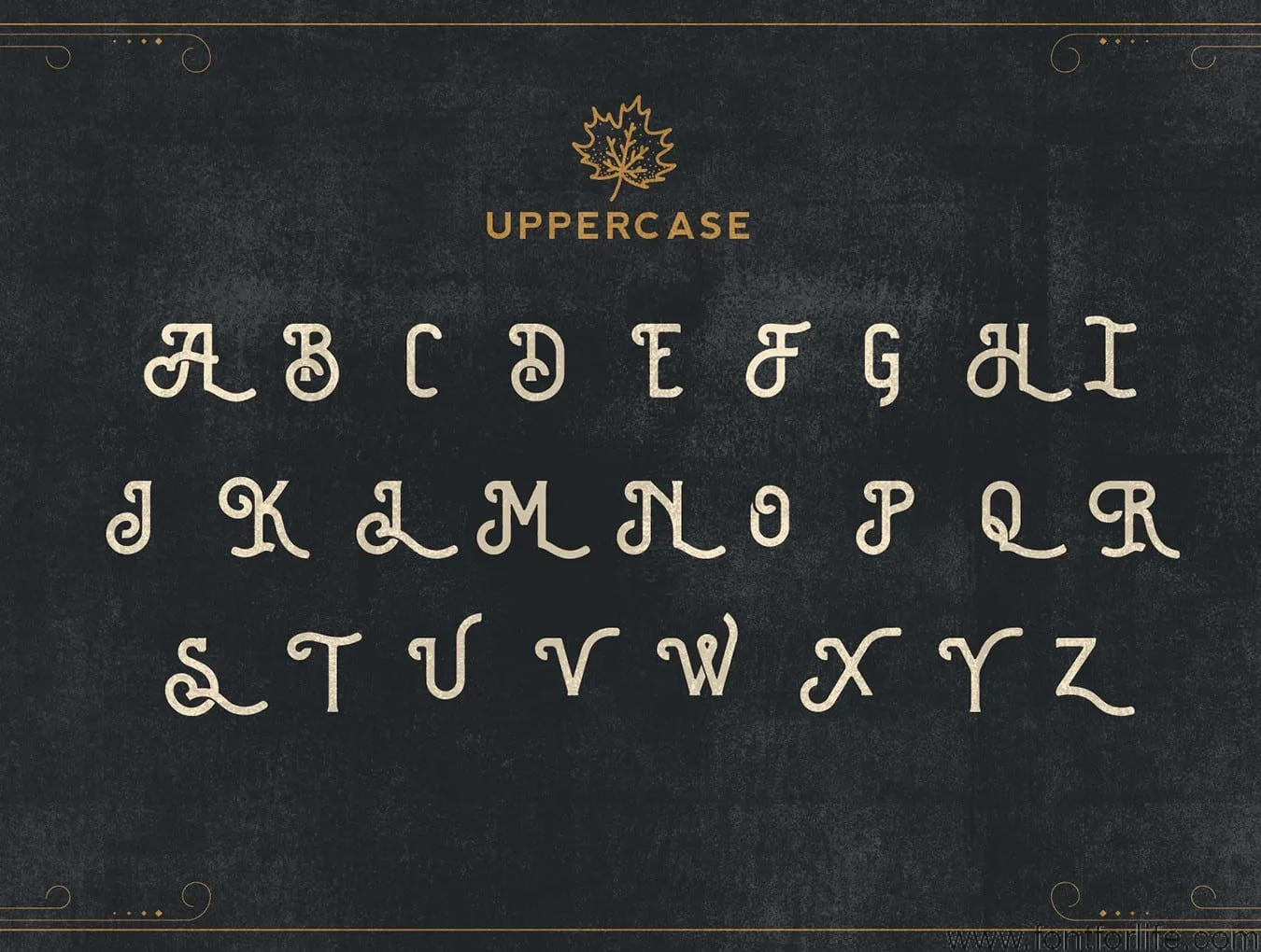 Brewski Brewery Typeface Font