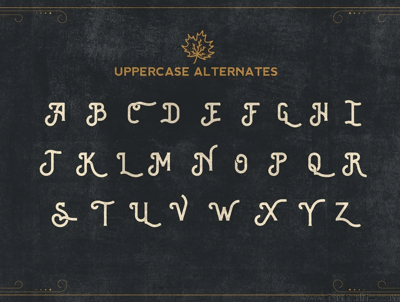 Brewski Brewery Typeface Font