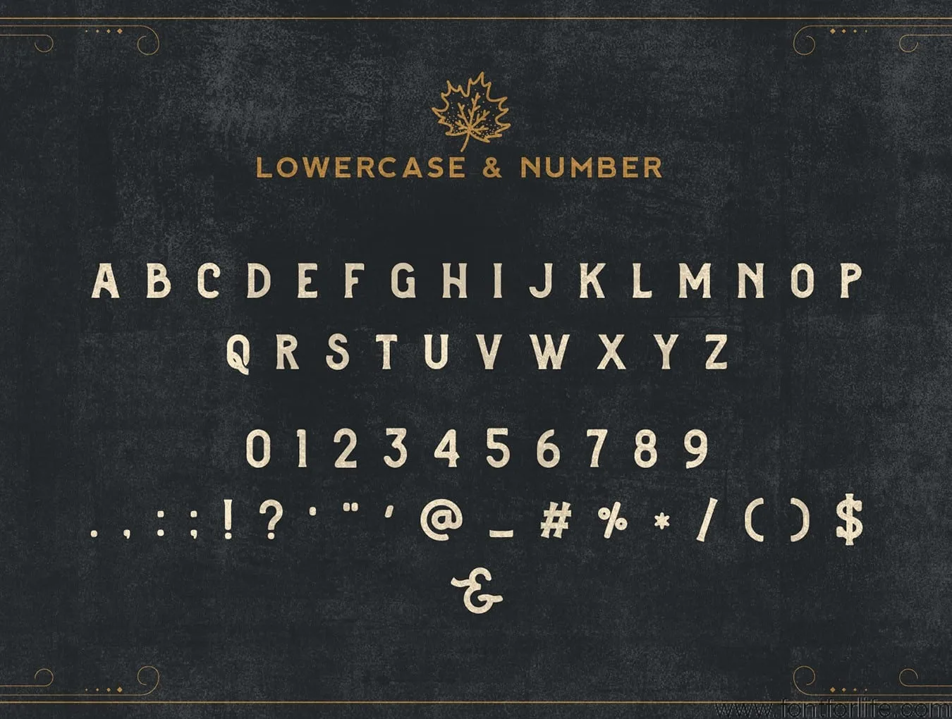 Brewski Brewery Typeface Font