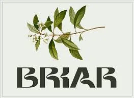 Briar Display Typeface