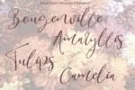 Bridesmaids Font