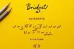 Bridget Monoline Script Font