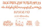 Bright Snowflakes Font