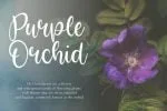 Bright Violet Script Font